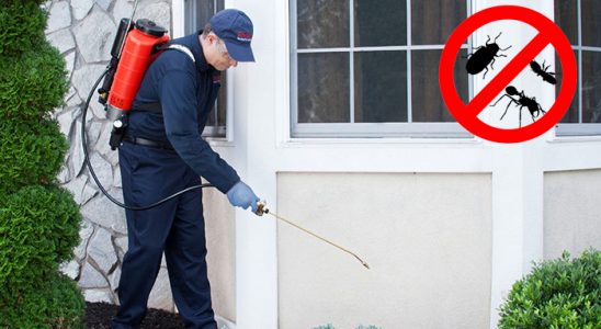 Çandarlı Kemirgen İlaçlama böcek ilaçlama ve haşere kontrolü — ilaclama-tr.com